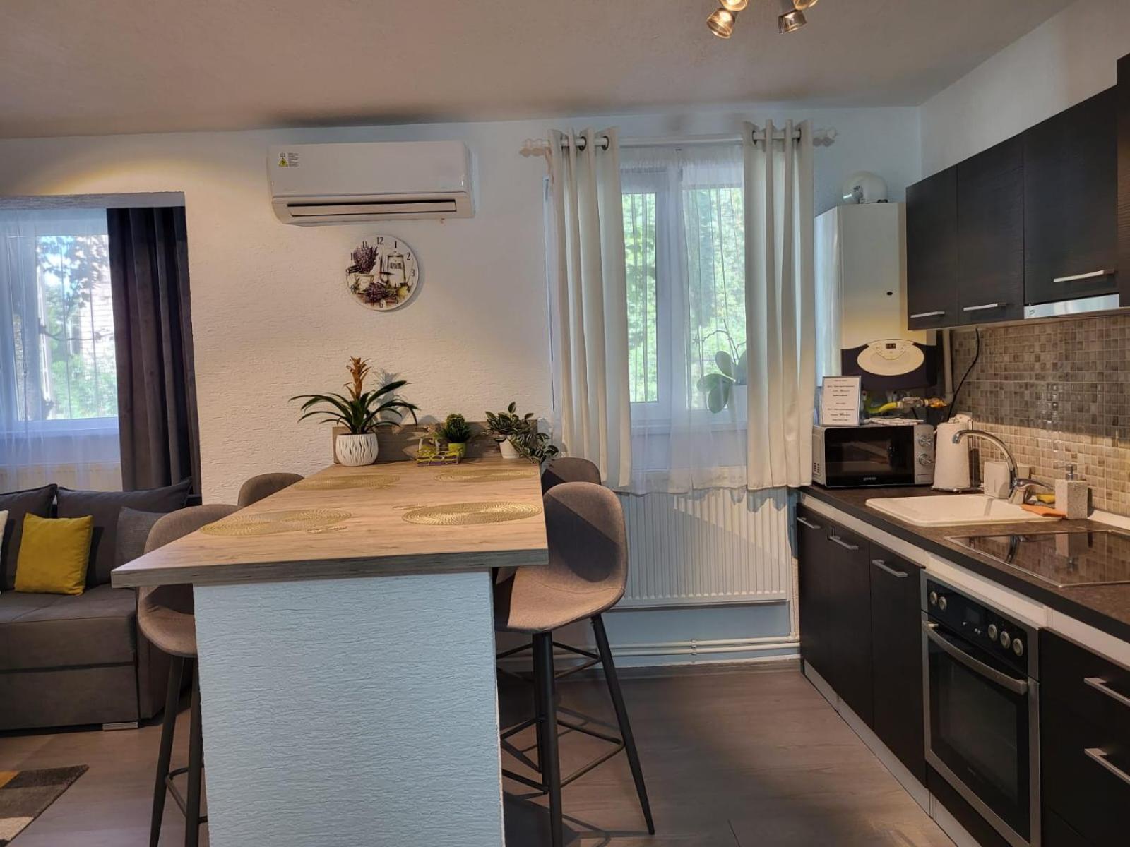 Mona Central Apartment Hunedoara Ngoại thất bức ảnh