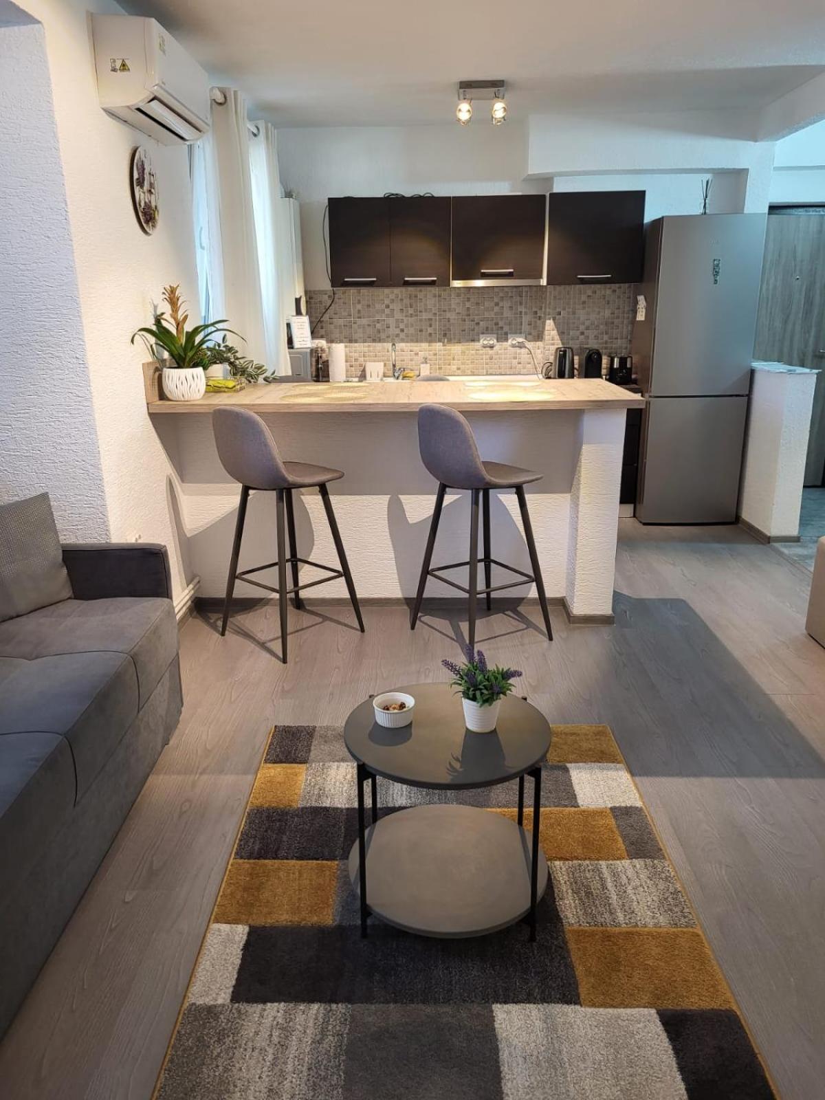 Mona Central Apartment Hunedoara Ngoại thất bức ảnh