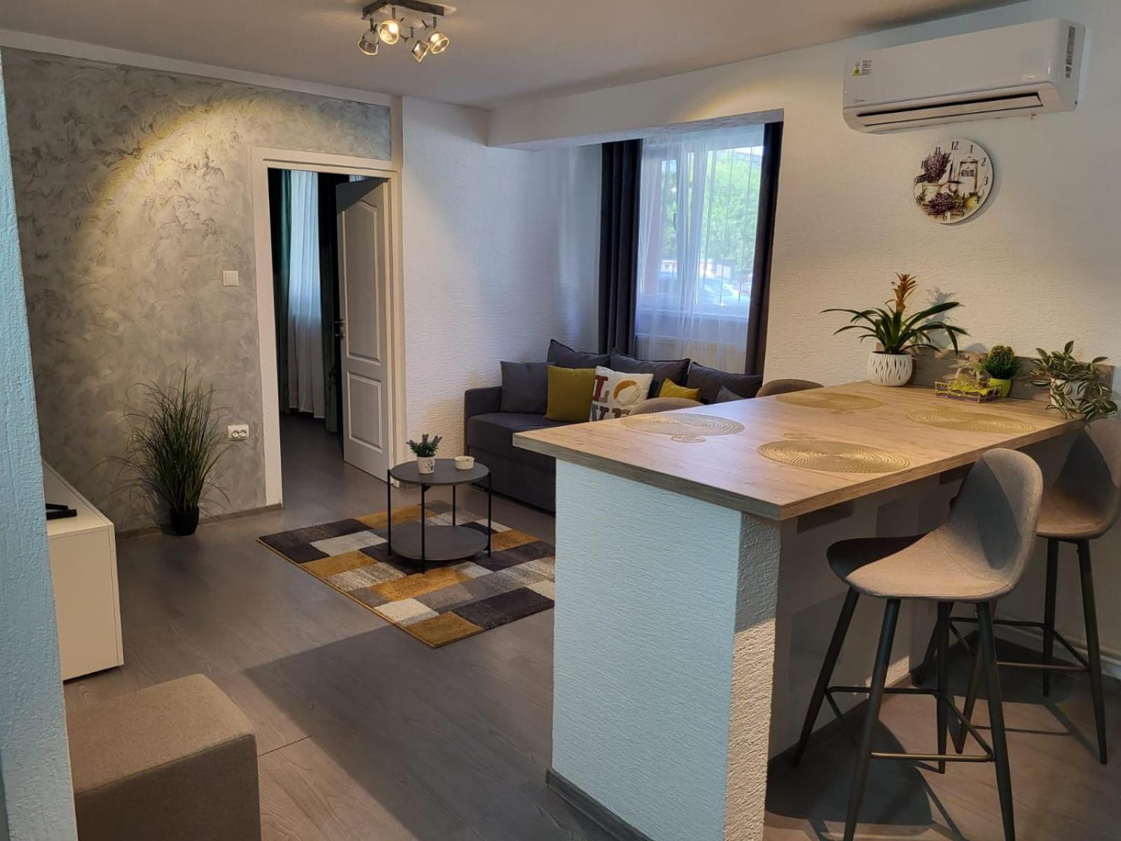 Mona Central Apartment Hunedoara Ngoại thất bức ảnh
